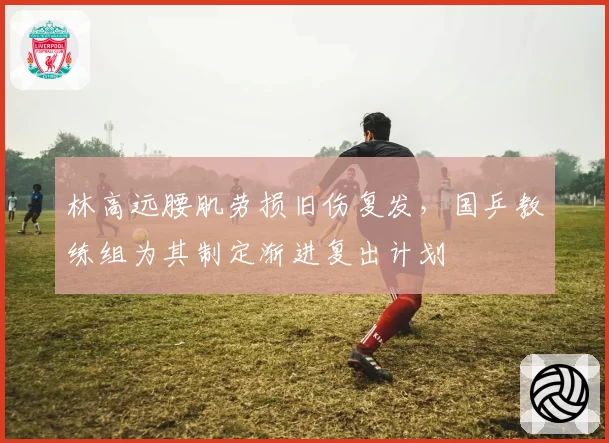 林高远腰肌劳损旧伤复发，国乒教练组为其制定渐进复出计划