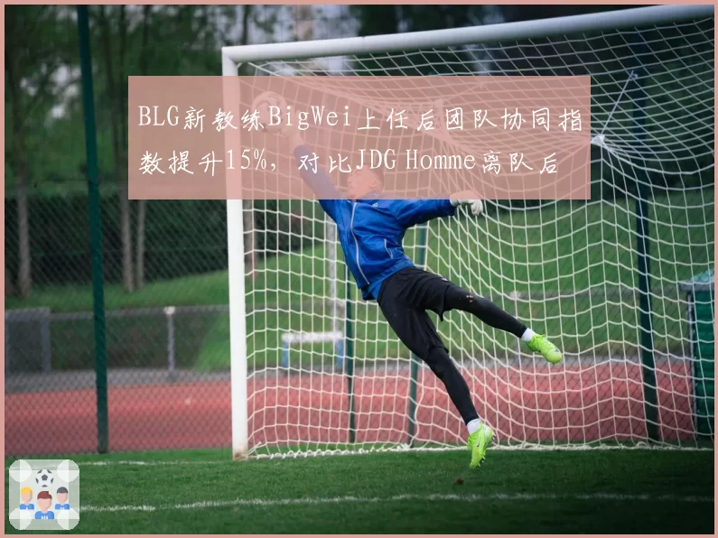 BLG新教练BigWei上任后团队协同指数提升15%，对比JDG Homme离队后战术执行率下降