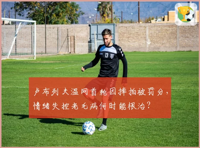 卢布列夫温网首轮因摔拍被罚分,情绪失控老毛病何时能根治?